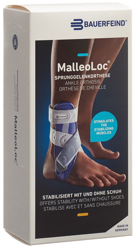 , immagine principale