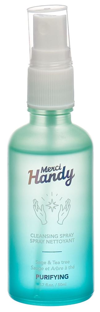 Merci Handy Purifying, Hauptbild