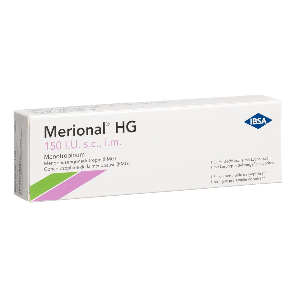 MERIONAL HG 150 IE, Hauptbild