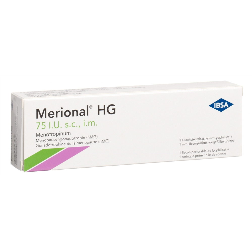 MERIONAL HG 75 IE, Hauptbild