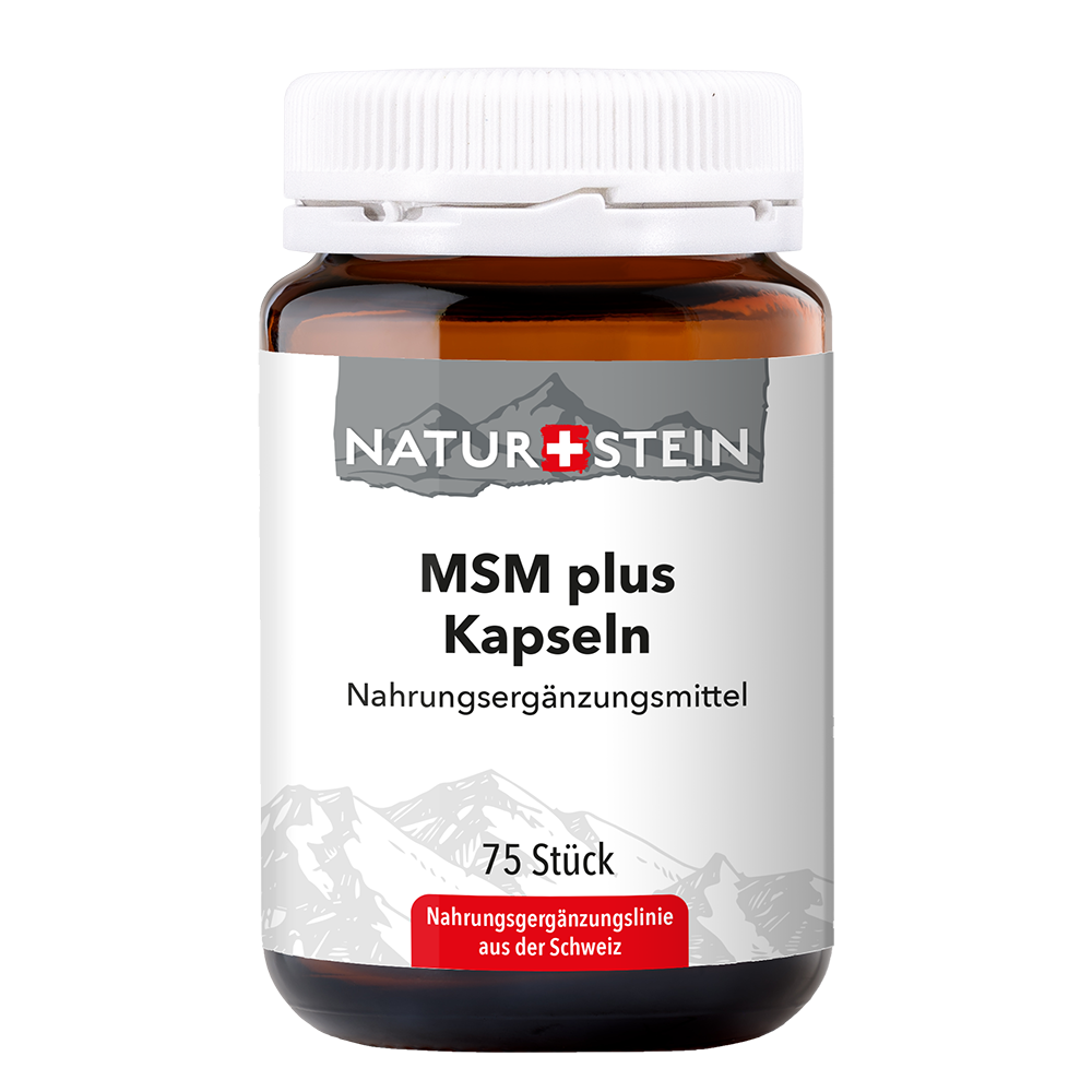 NATURSTEIN MSM plus, Hauptbild