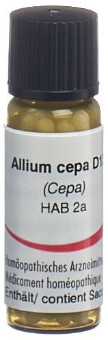 Omida Allium cepa 12 D, Hauptbild