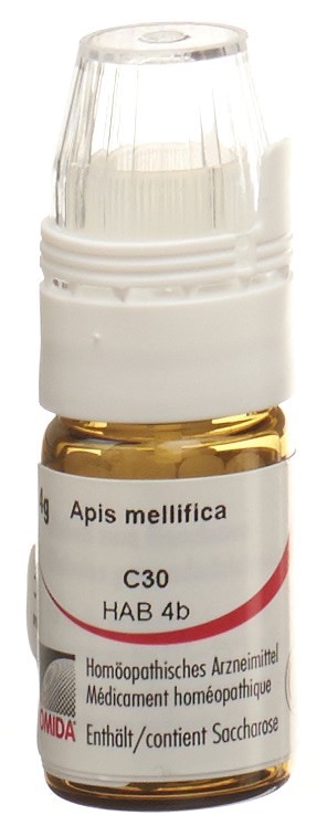 Omida Apis 30 C, Hauptbild