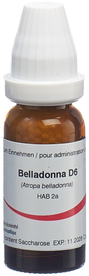 Omida belladonna 6 D