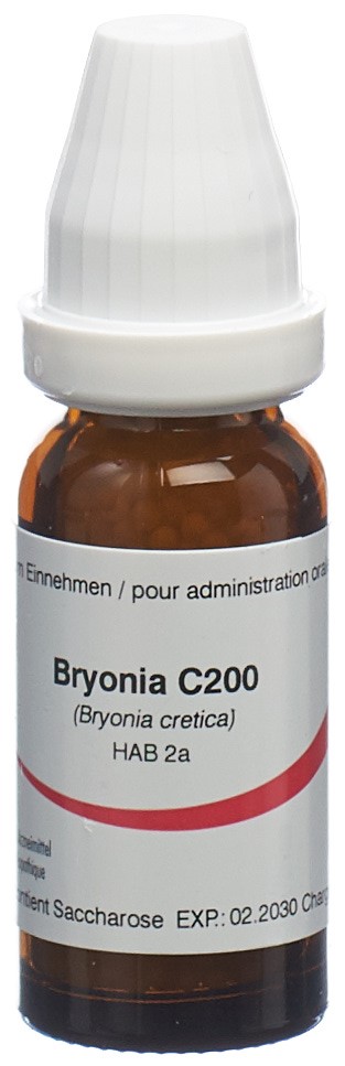 Omida Bryonia 200 C, Hauptbild