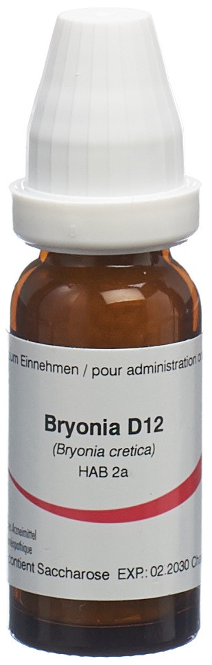 Omida Bryonia 12 D, Hauptbild