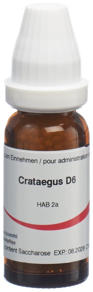 Omida Crataegus 6 D, Hauptbild