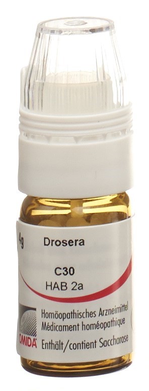 , immagine principale