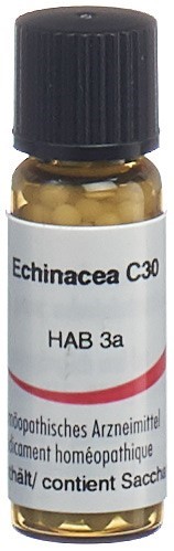 Omida echinacea 30 C