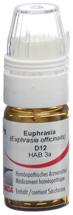 Omida euphrasia 12 D, image principale