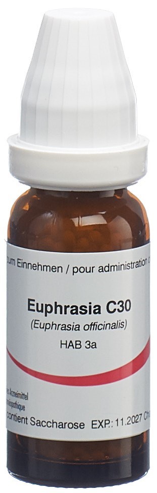 Omida Euphrasia 30 C, Hauptbild