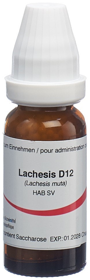 Omida Lachesis 12 D