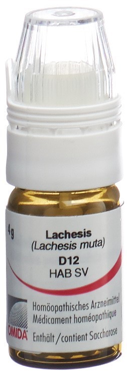 Omida Lachesis 12 D, Hauptbild