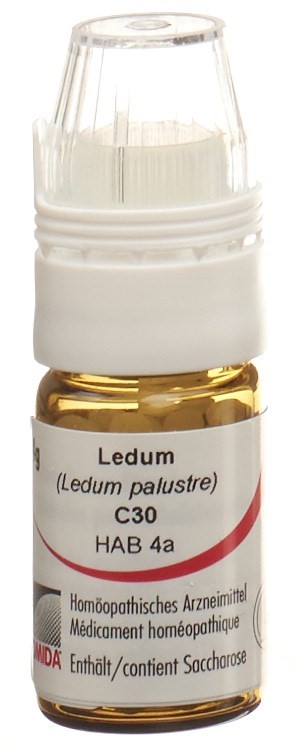 Omida Ledum 30 C, Hauptbild