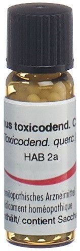 Omida rhus toxicodendron 30 C, image principale