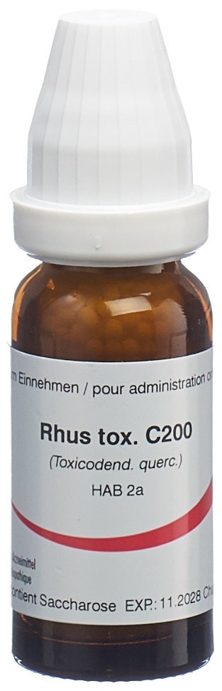 Omida Rhus toxicodendron 200 C, Hauptbild