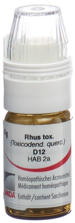 Omida Rhus toxicodendron 12 D, Hauptbild