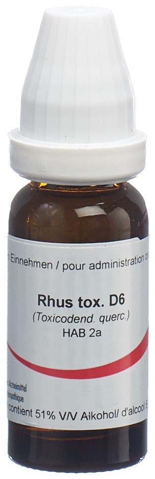Omida Rhus toxicodendron 6 D, Hauptbild