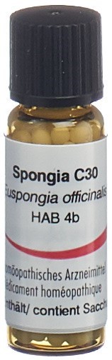 Omida spongia 30 C, image principale