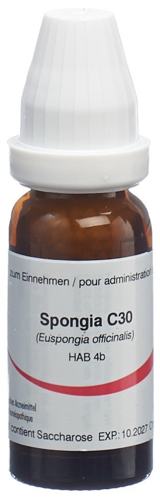 Omida Spongia 30 C, Hauptbild