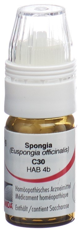 Omida Spongia 30 C, Hauptbild