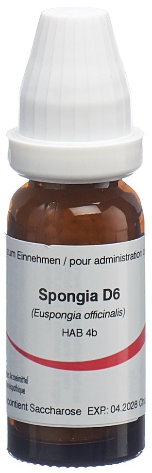 Omida Spongia 6 D, Hauptbild