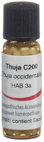 Omida thuja 200 C, image principale