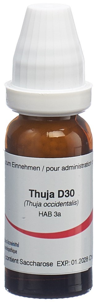 Omida Thuja 30 D, Hauptbild