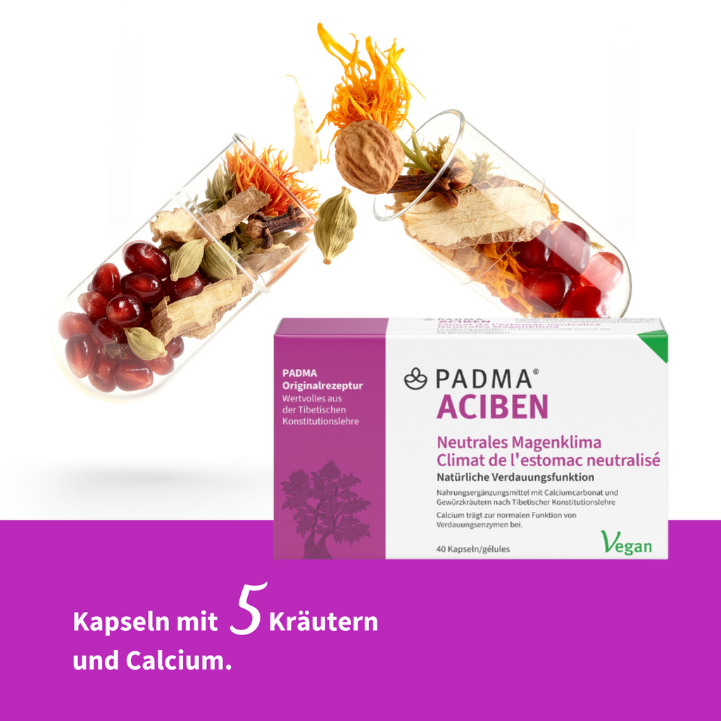 PADMA ACIBEN, Bild 3 von 6