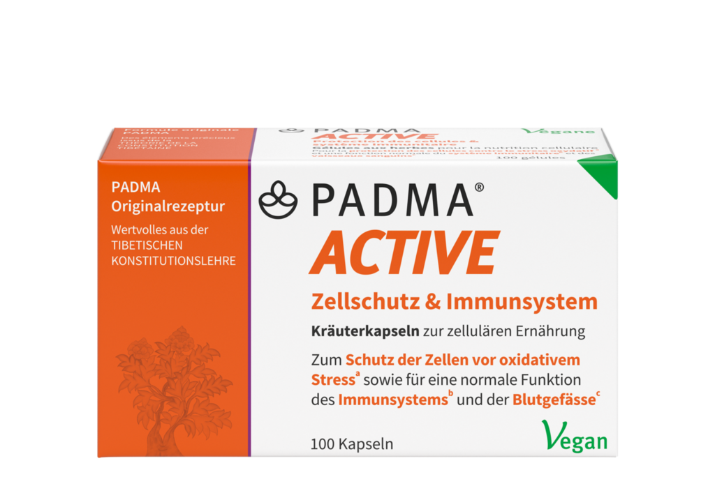 PADMA ACTIVE