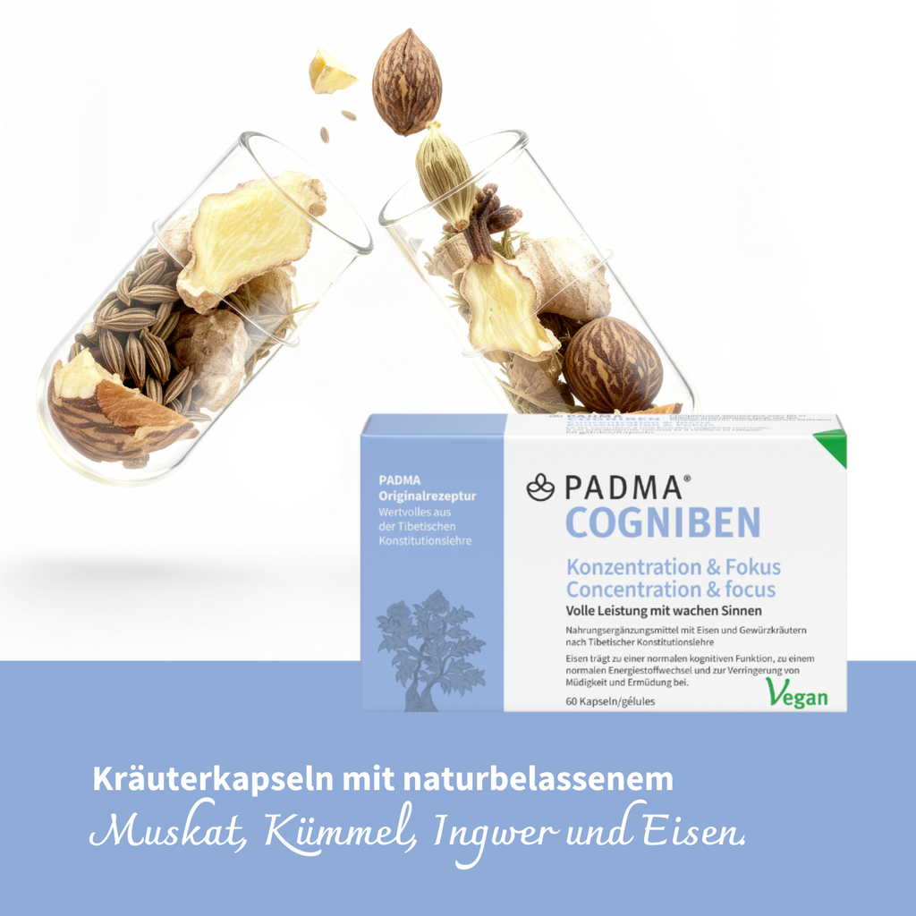 PADMA COGNIBEN, Bild 3 von 6