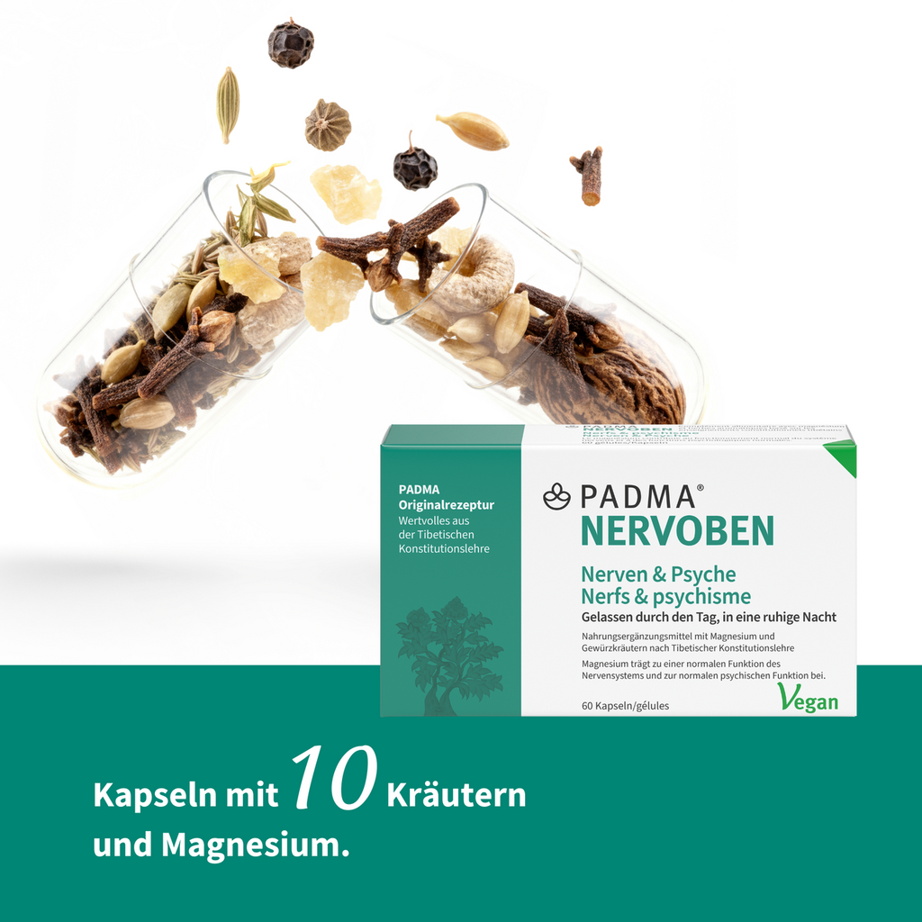 PADMA NERVOBEN, Bild 3 von 6