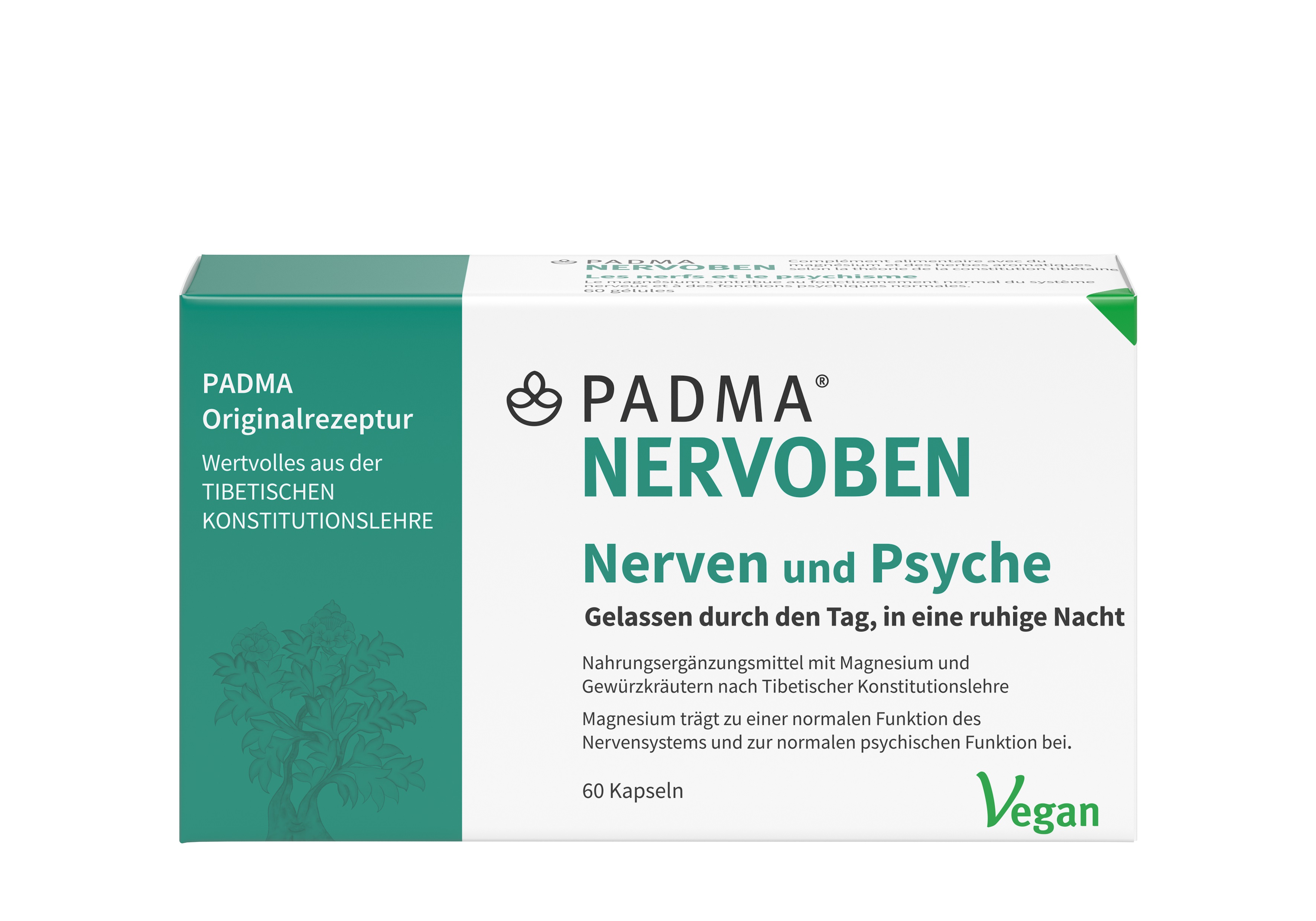 PADMA NERVOBEN, Hauptbild