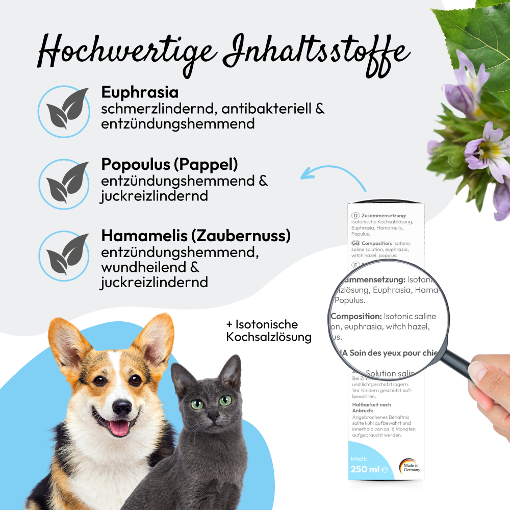 PHA AugenPflege für Hunde und Katzen, Bild 4 von 5