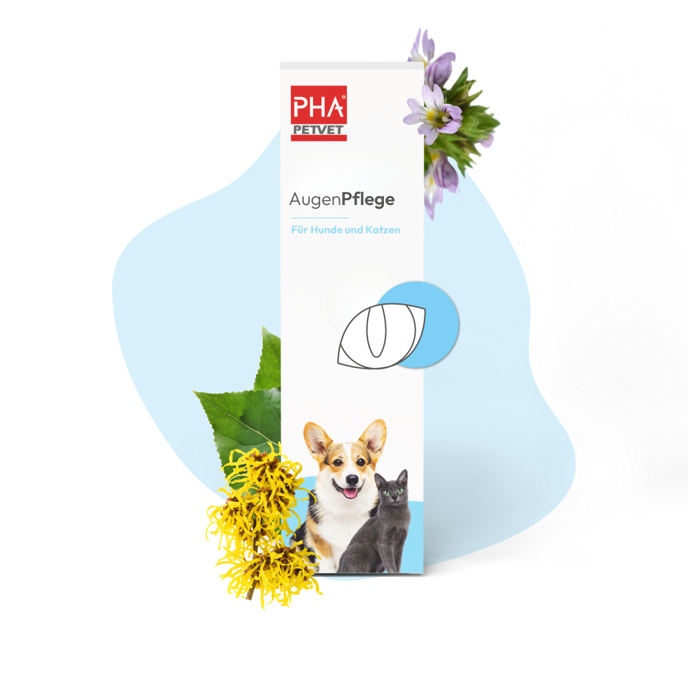 PHA AugenPflege für Hunde und Katzen, Bild 5 von 5
