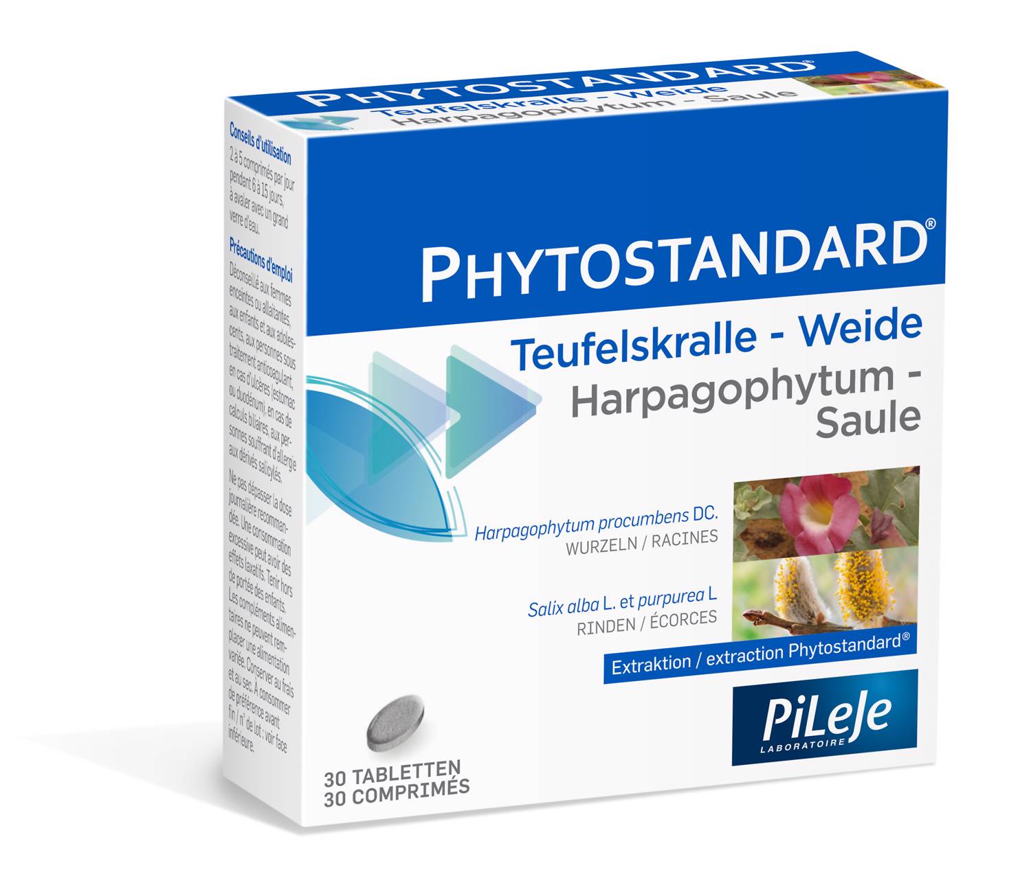 PHYTOSTANDARD Teufelskralle-Weide, Hauptbild
