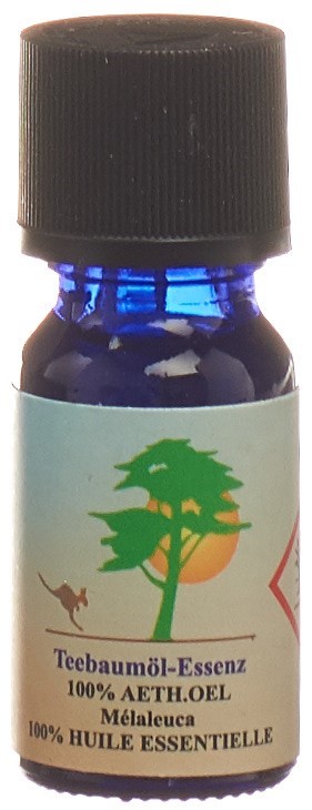Pioneer essence arbre thé, image principale