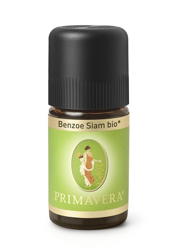 Primavera styrax à benjoin