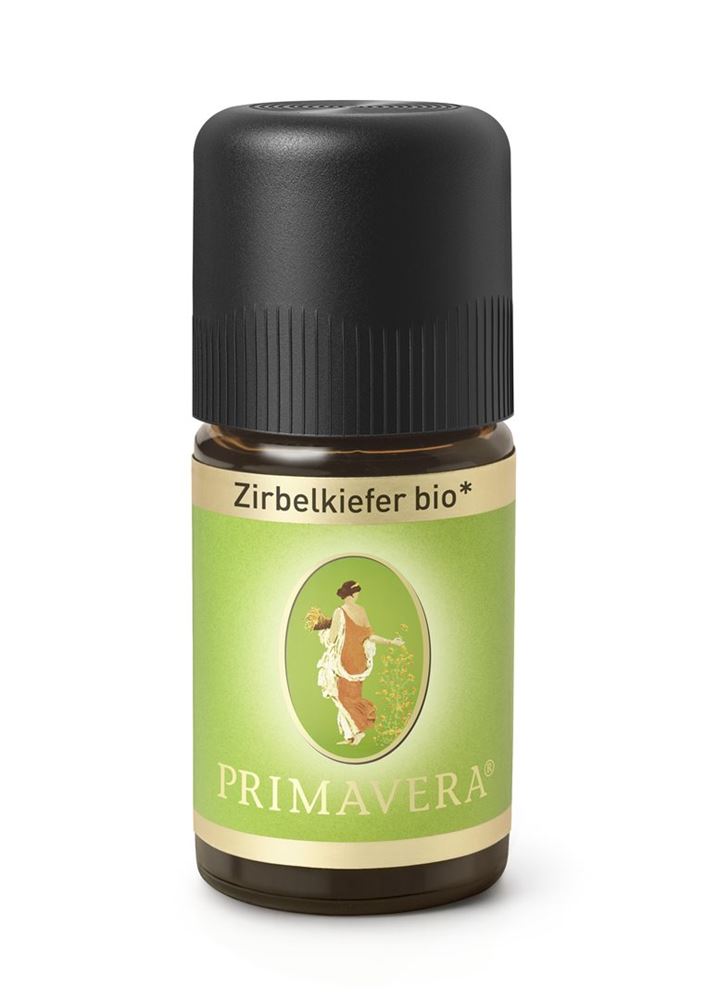 Primavera Zirbelkiefer