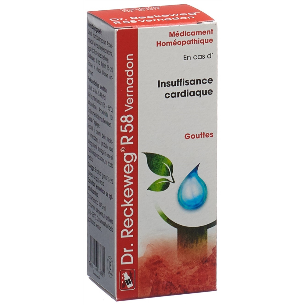RECKEWEG R58 Vernadon, image 2 sur 2