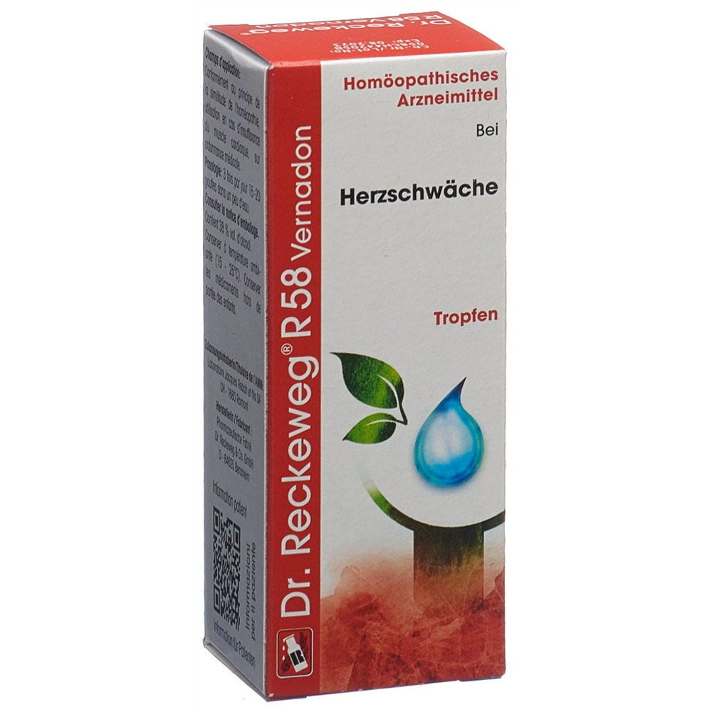 RECKEWEG R58 Vernadon, Hauptbild