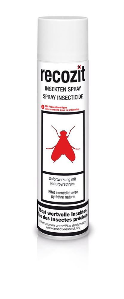 RECOZIT spray insecticide au pyrèthre