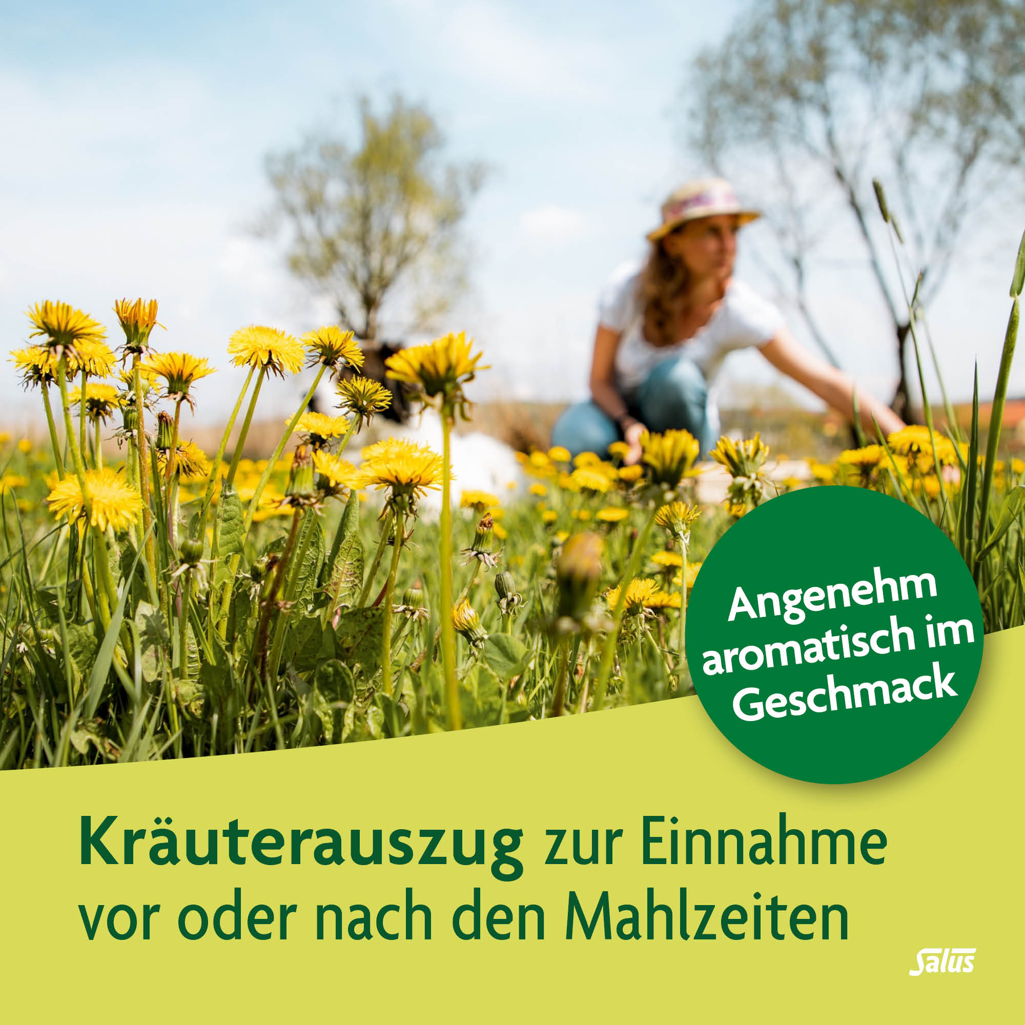 SALUS Artischocken Bitter Elixier, Bild 3 von 6