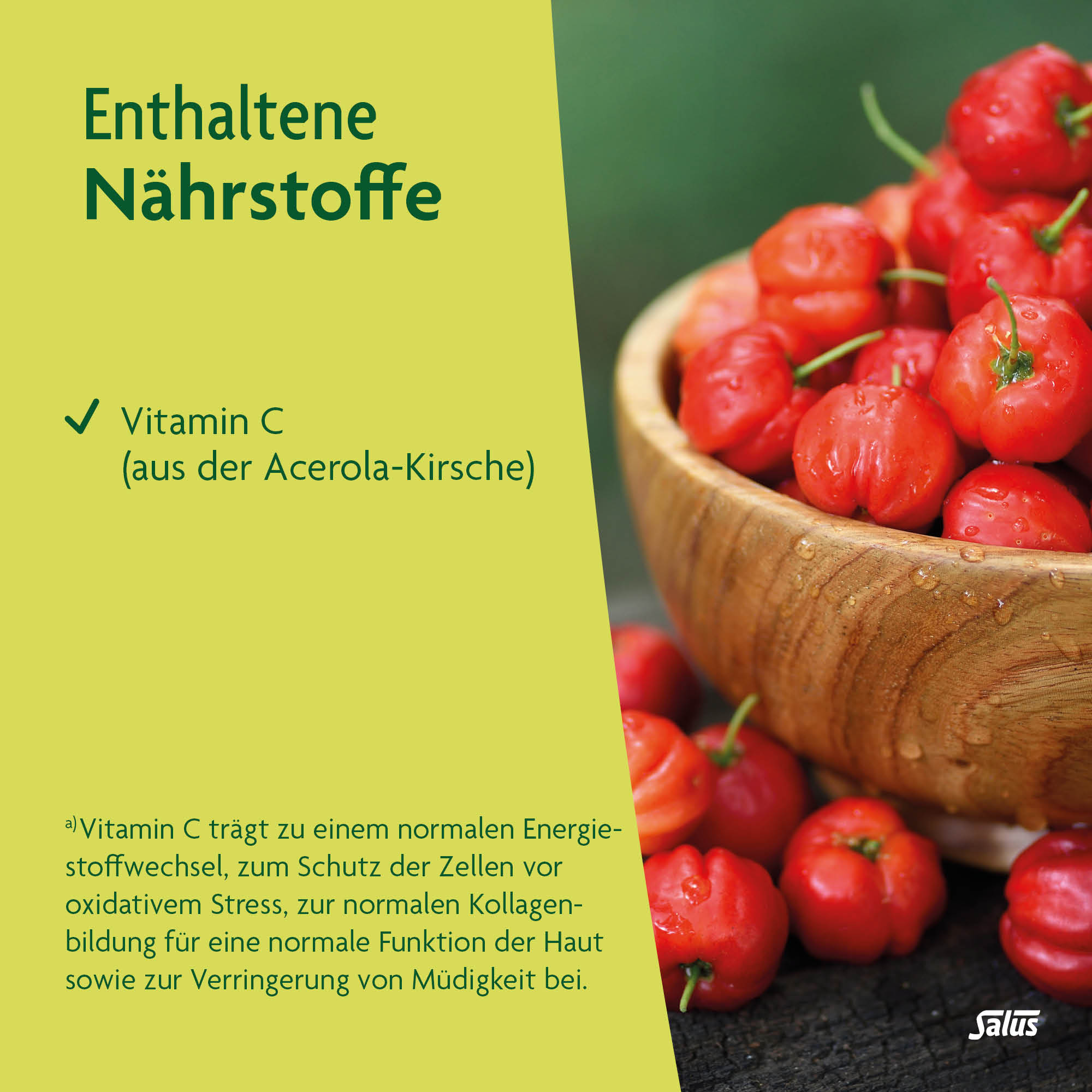 SALUS FreeBalance Löwenzahn-Brennnessel Elixier, Bild 5 von 6