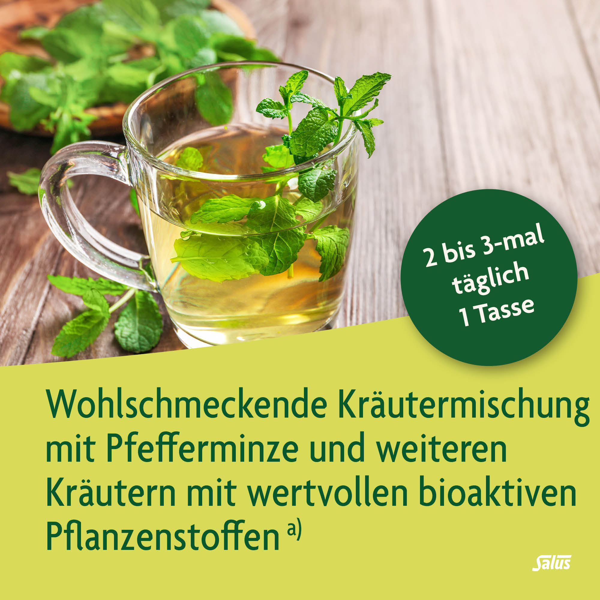 SALUS Gastro intestinaux tisane, image 3 sur 5