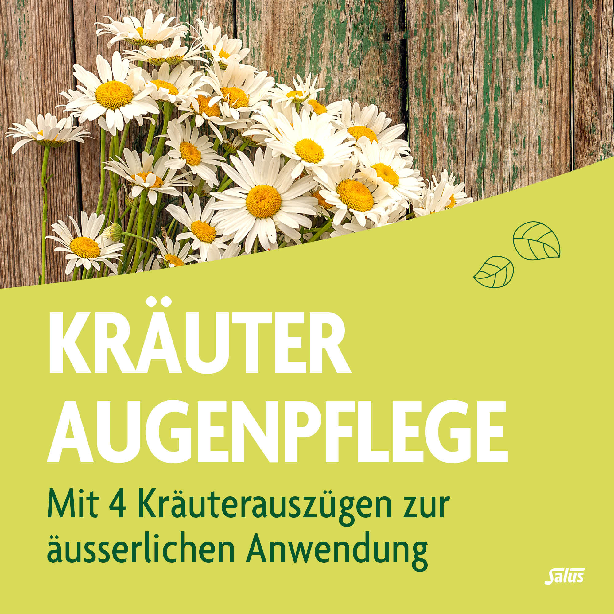 SALUS Kräuter Augenpflege, Bild 2 von 5