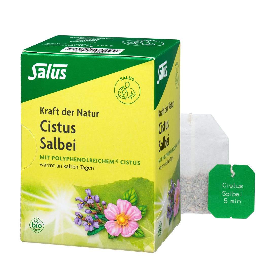 SALUS Kraft der Natur Tee