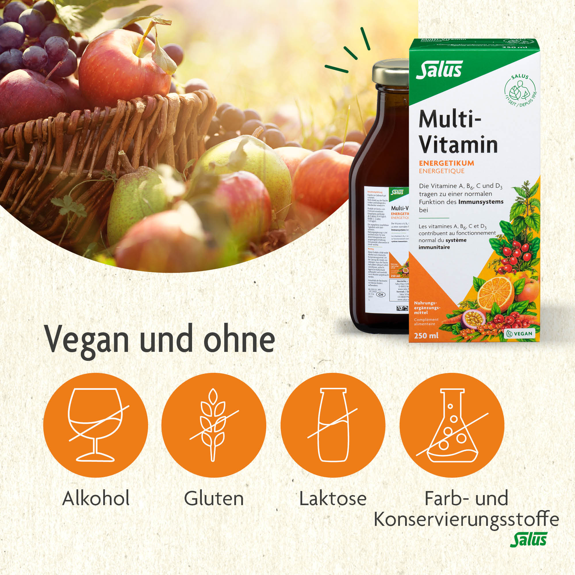 SALUS Multi-Vitamin Energetikum, Bild 3 von 6