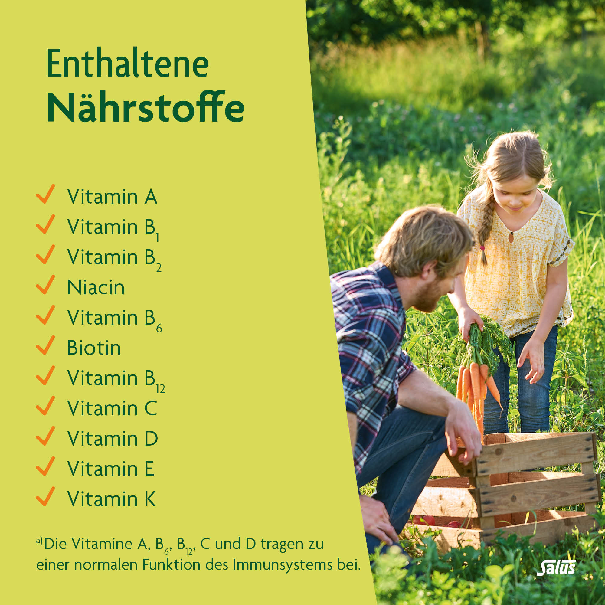 SALUS Multi-Vitamin Energetikum, Bild 4 von 6