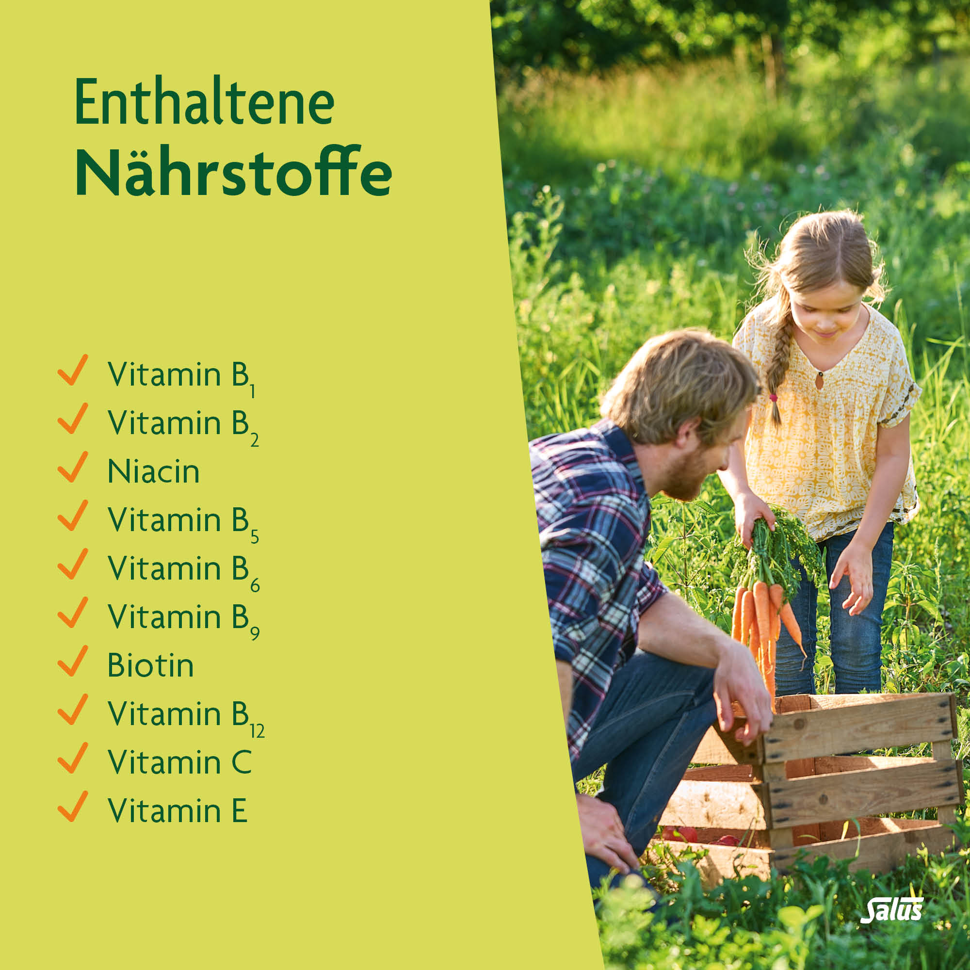 SALUS Multi-Vitamin Früchtetee, Bild 4 von 5